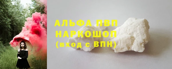 шишки Абинск