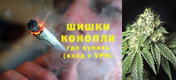 шишки Абинск