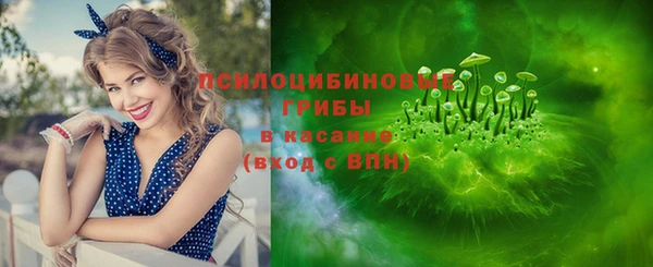 твердый Абаза