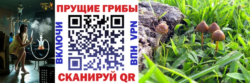 Галлюциногенные грибы Cubensis Новосибирск