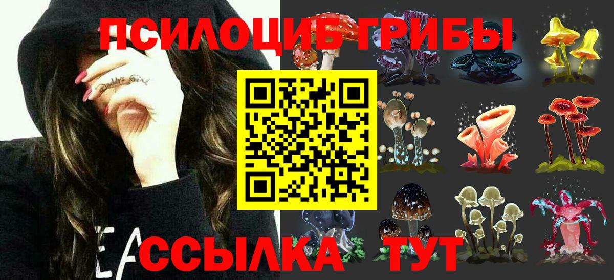 Галлюциногенные грибы GOLDEN TEACHER Новосибирск